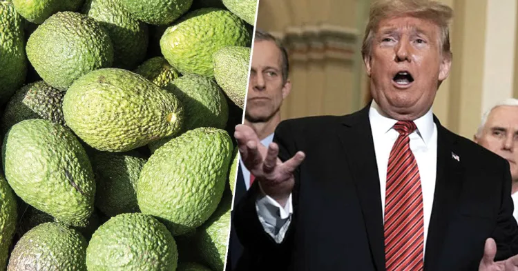 Sería catastrófico cierre de frontera