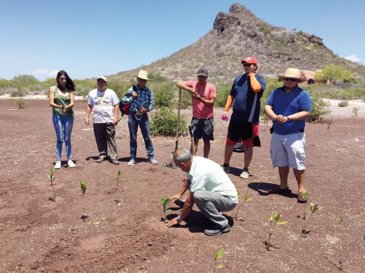 Se unen vacacionistas a celebración