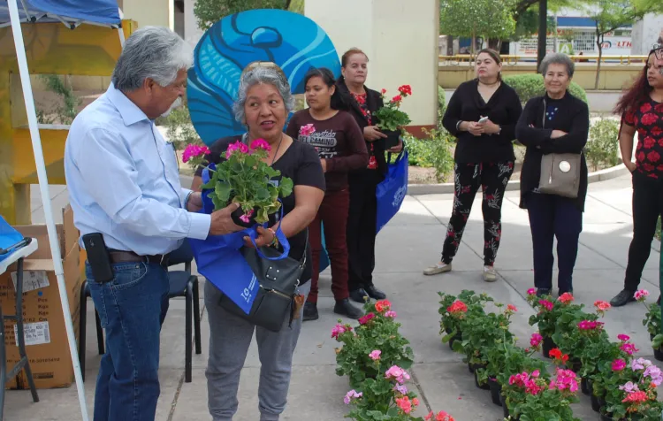 Entregan 150 plantasde ornato en Nogales