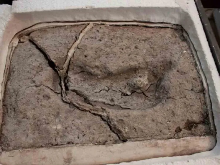 Descubren la huella humana más antigua del mundo