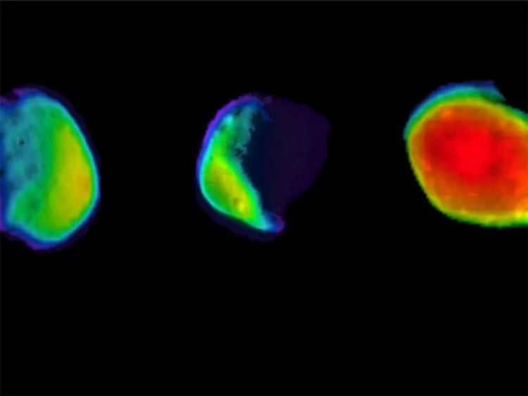 NASA muestra imágenes espectaculares de Luna llena en Marte
