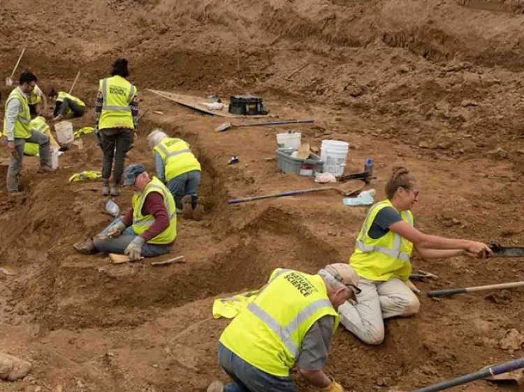 Descubren fósil de extraño dinosaurio con cuernos en EU