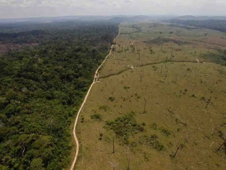 Deforestación en la Amazonía de Brasil crece a ritmo aterrador