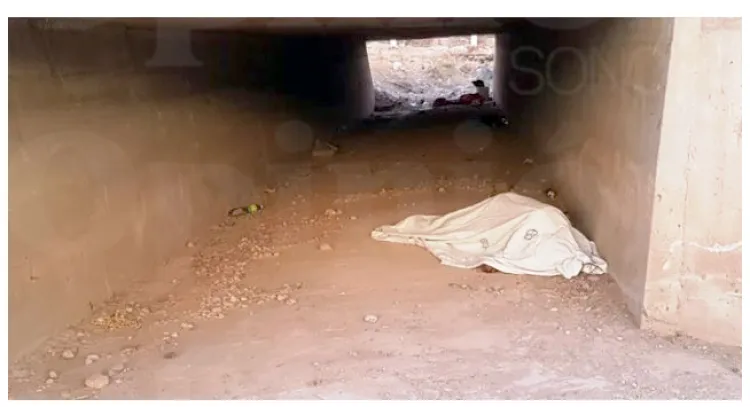 Localizan cuerpo sin
vida bajo un puente