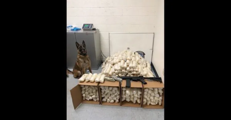 Traía droga, armas y dinero; preso