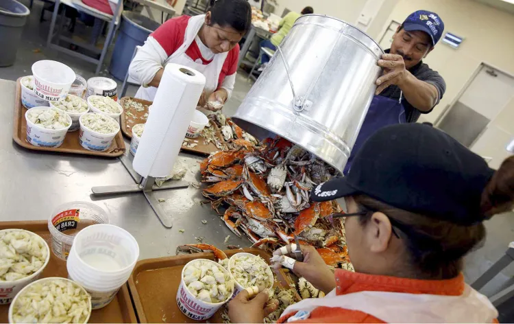 Otorga EU 30 mil visas de trabajo