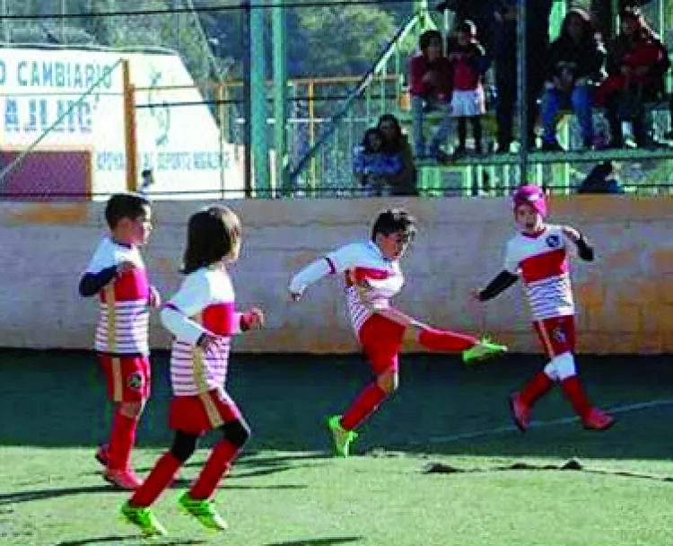 Gran remontada de
Cobras en semifinales