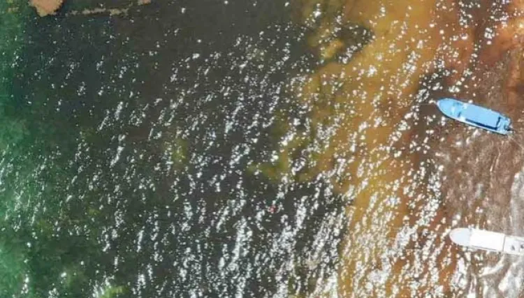 Quintana Roo destina recursos millonarios contra sargazo