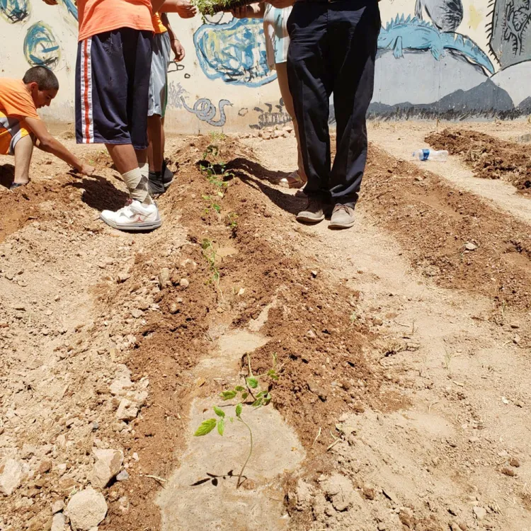 Capacitan a jóvenes de ITAMA