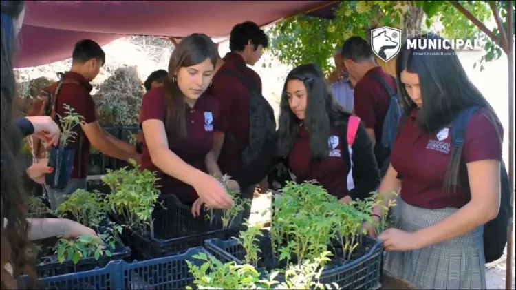 Crean huertos en la  Preparatoria Municipal