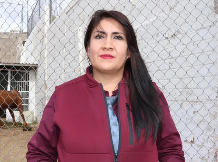 Llaman a atender a las mascotas