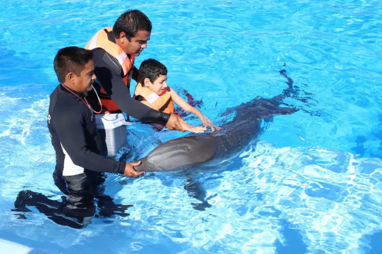 Avanzan terapias con delfines