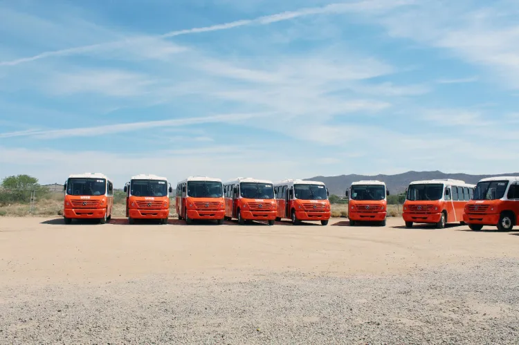 Unidades nuevas en transporte