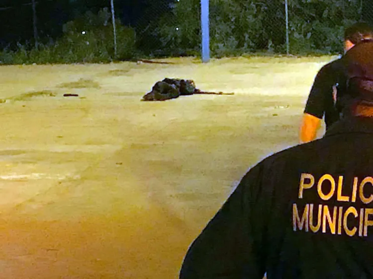 Muere mujer arrollada en carretera