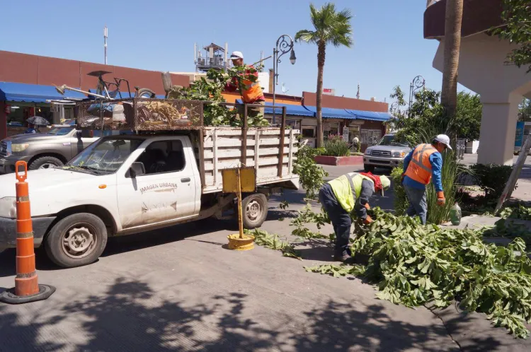 Rehabilitan fuentes de espacios públicos