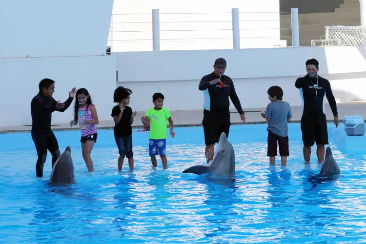 Invitan a disfrutar las vacaciones en Delfinario
