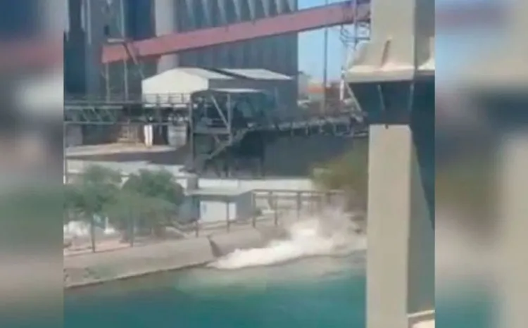 Profepa inicia investigación por derrame de ácido 