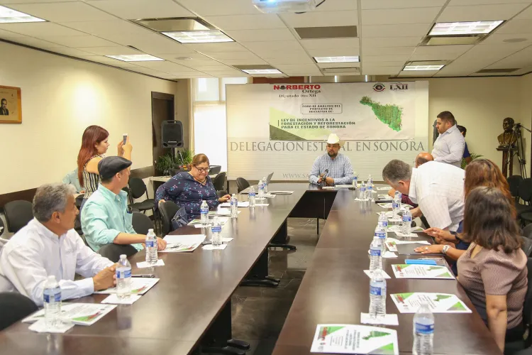 Realizan foro sobre reforestación