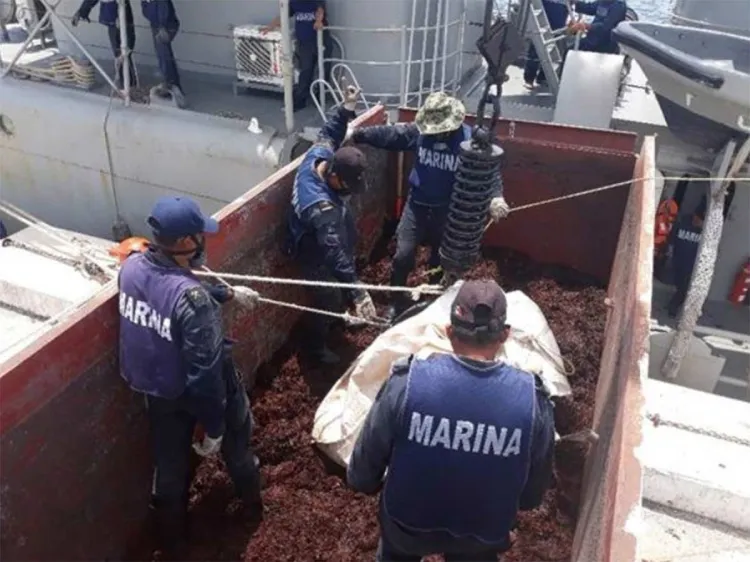 Marina retira 38 mil 892 toneladas de sargazo en casi 3 meses