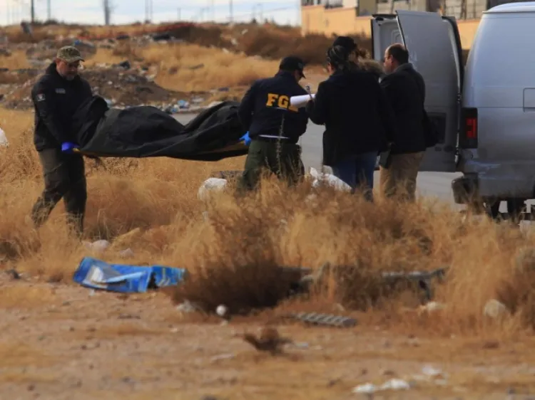 Hallan 28 restos óseos en fosas clandestinas en Chihuahua