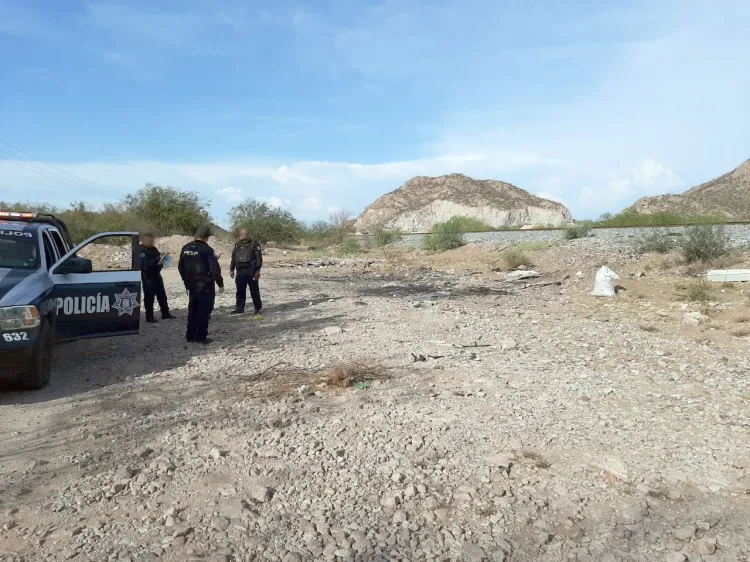 Localizan carga de narcóticos