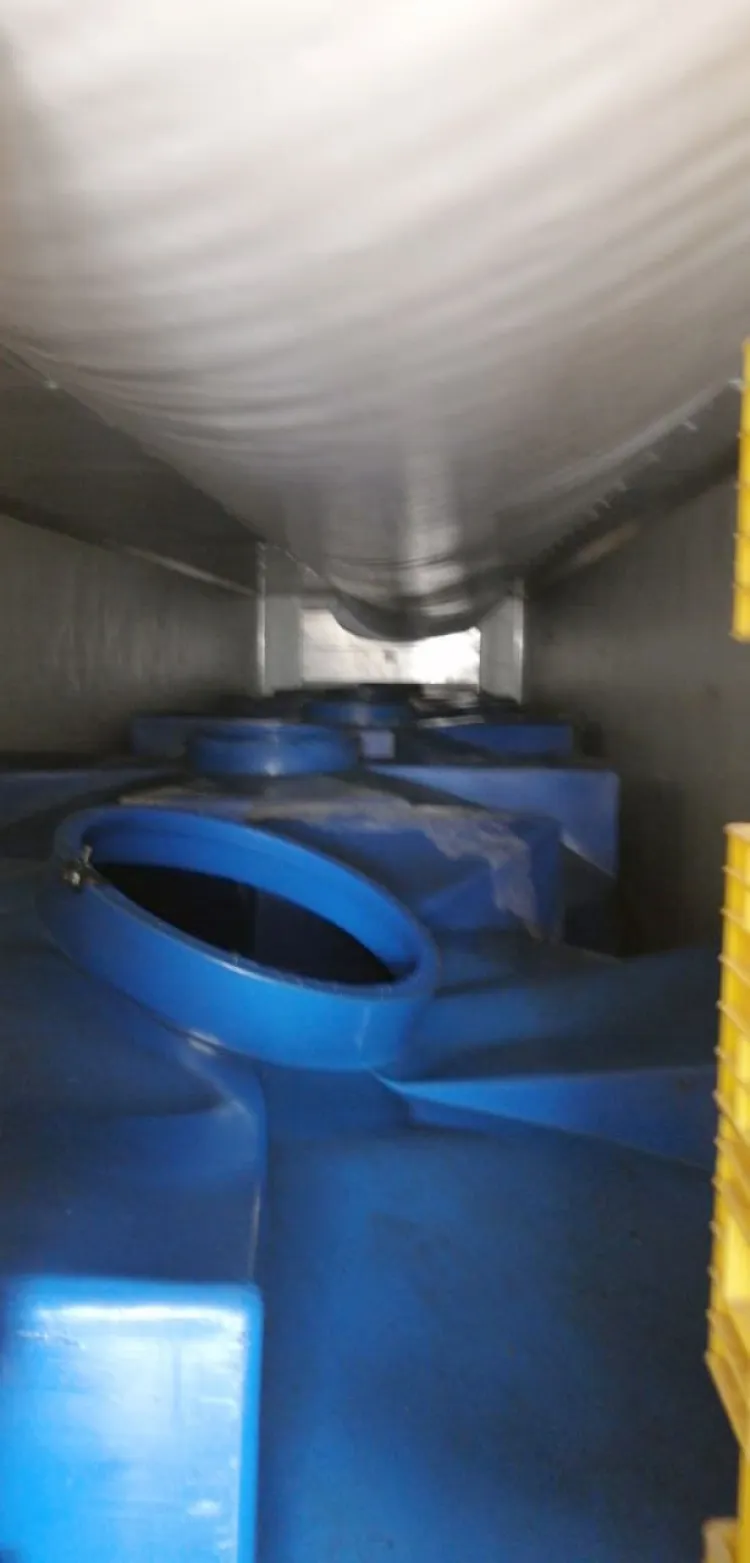 Recuperan auto robado en Arizona