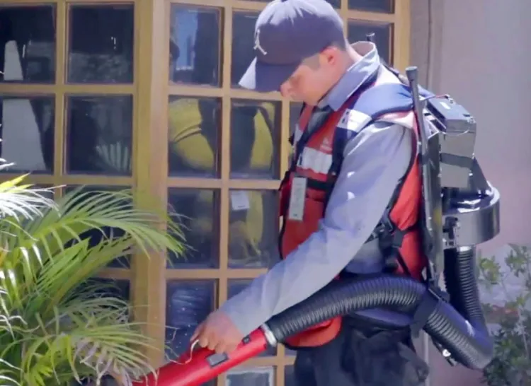 Incansable combate al mosco