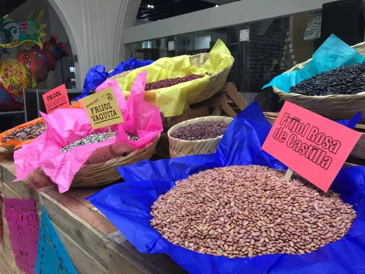 Lanzan campaña para proteger ingredientes de comida mexicana