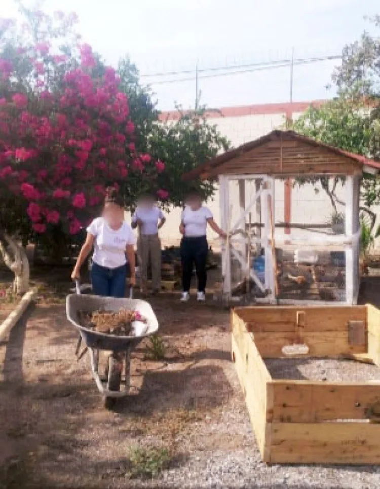 Implementa Itama proyecto productivo