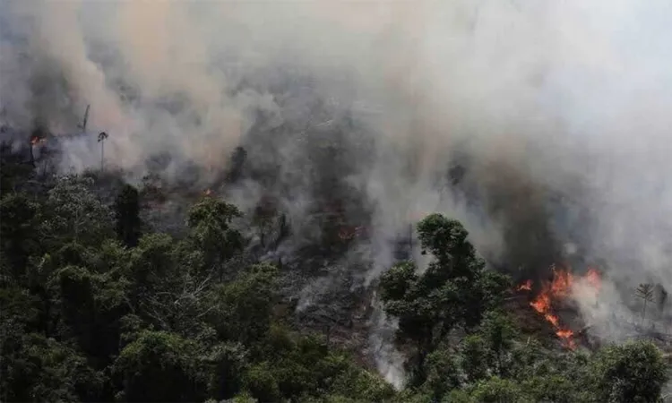 Arde la Amazonia sin control, con miles de incendios activos