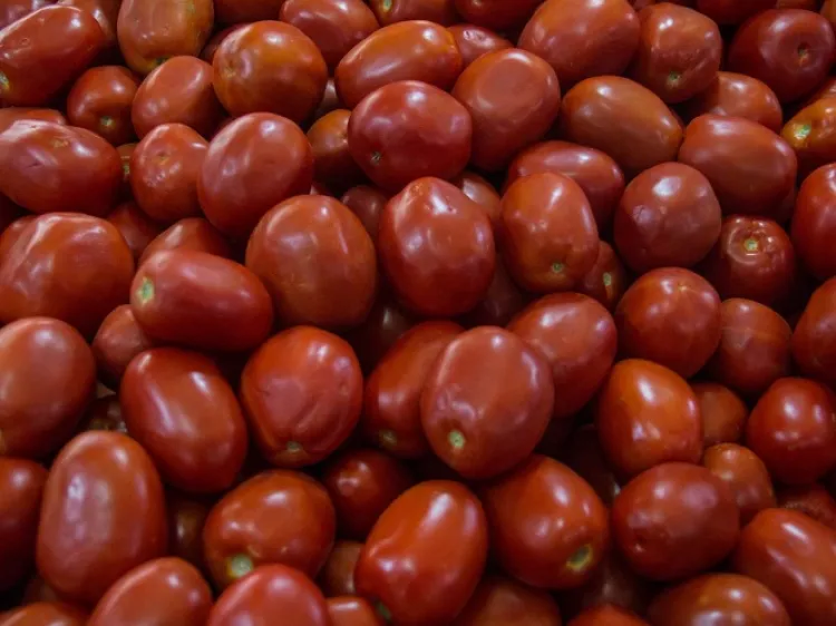 México y EU logran acuerdo sobre jitomate; se suspende ‘antidumping’