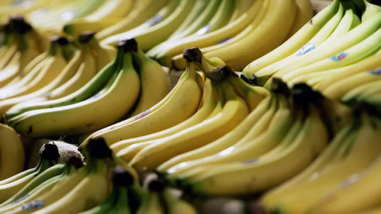 Hayan cocaína en supermercados
