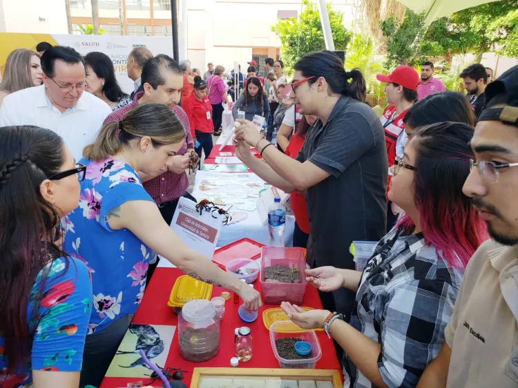 Buscan  erradicar el mosco