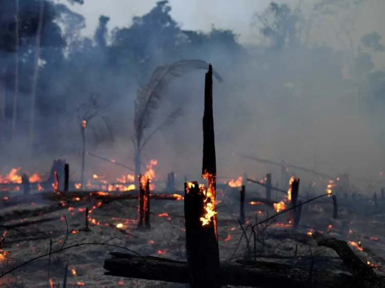 Cumbre sobre la Amazonia se realizará por videoconferencia