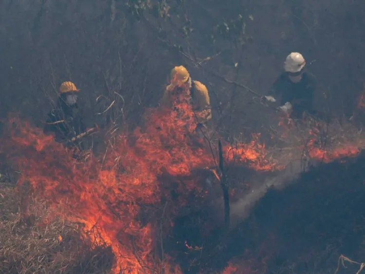 Envía Francia a Bolivia ayuda contra incendios en la Amazonia