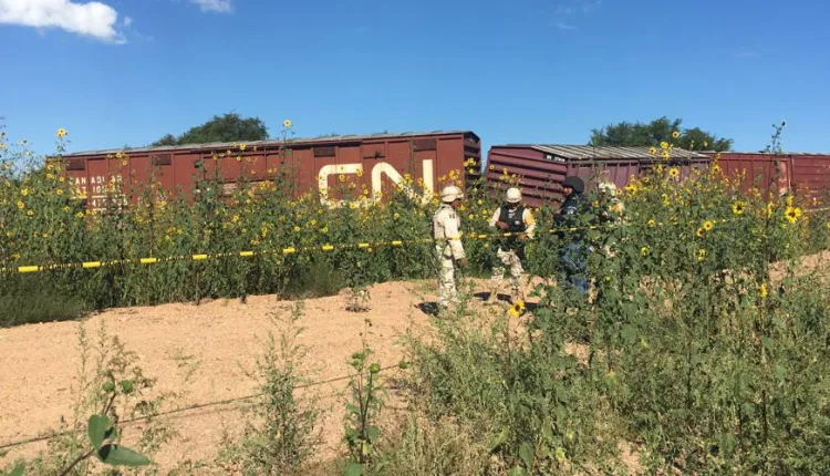 Descarrila tren en Nogales