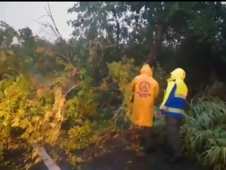 Continúa Alerta Roja por 'Lorena' en Jalisco y Colima