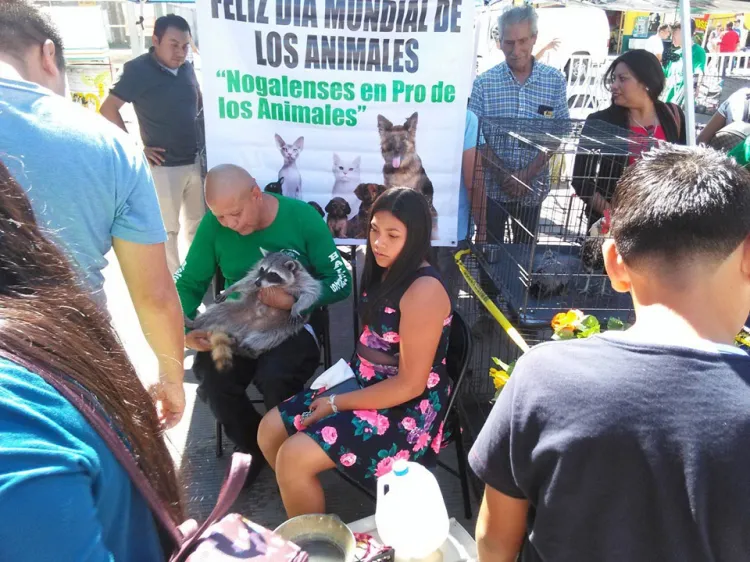 Disfrutan nogalenses de Domingos en la Obregón