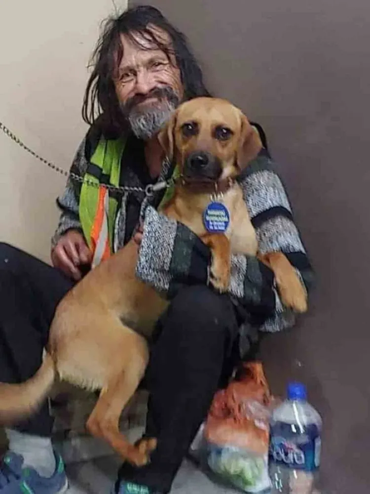 Captan a indigente llorando frente a su perrito atropellado