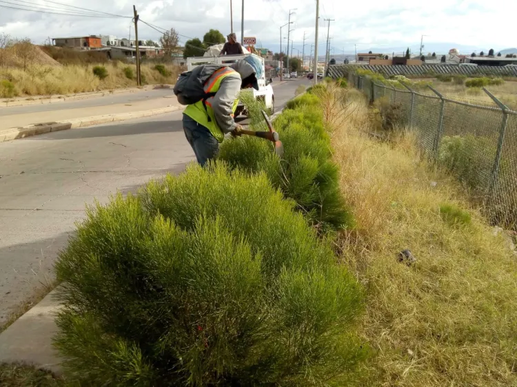 Imagen Urbana mantienen limpias las plazas
