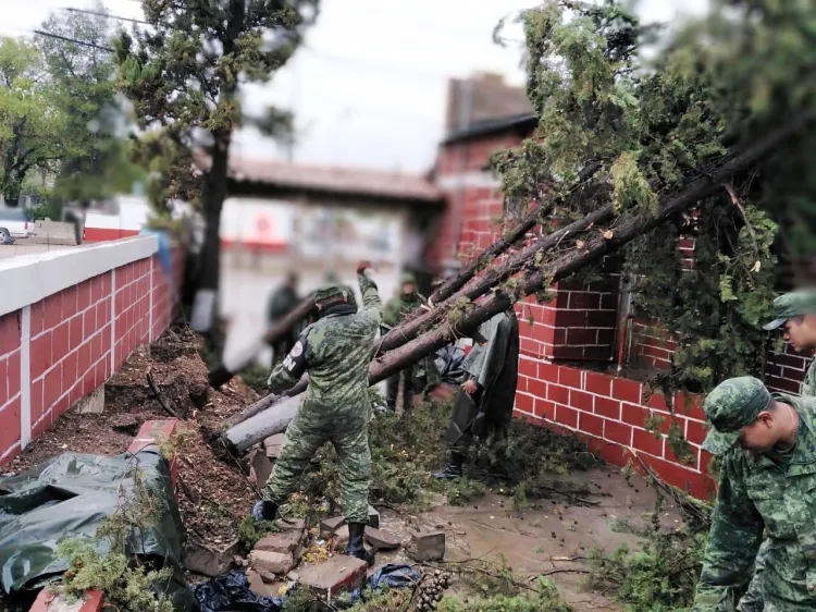 Causan lluvias graves daños