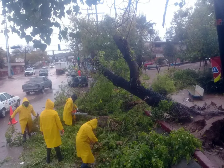 Atienden llamados de la comunidad