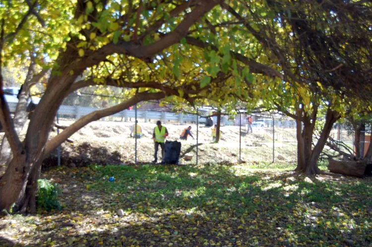 Llevan campaña de limpieza a El Cíbuta