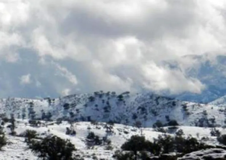 Previenen por la tormenta invernal