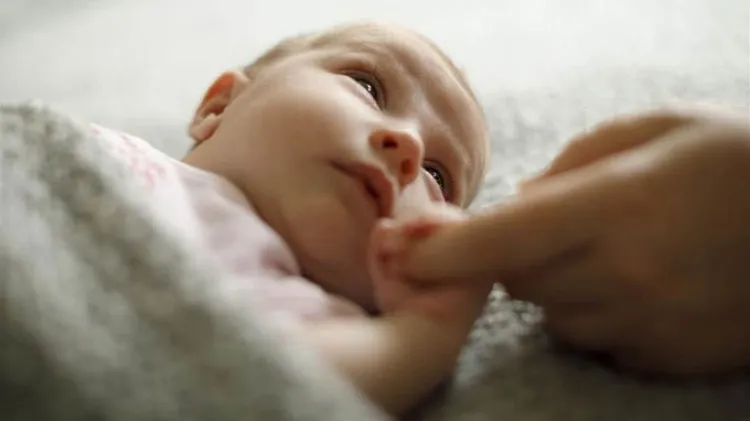 Recibe Arizona malas calificaciones