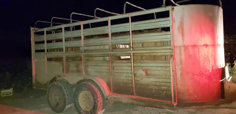 Descubren armas en vehículos abandonados