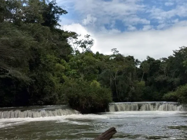 Llaman a proteger Biósfera en México
