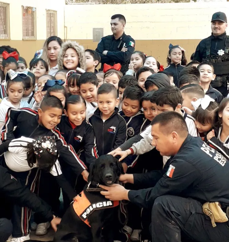 Es trabajo de prevención aliado