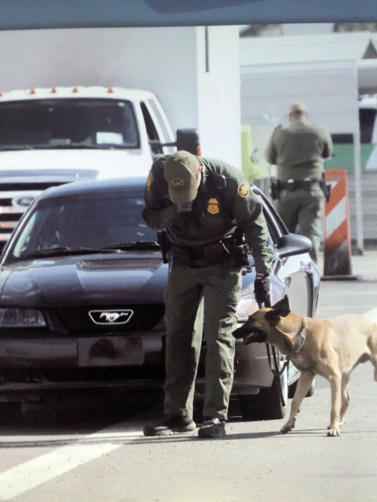 Frustran contrabando de drogas en el retén