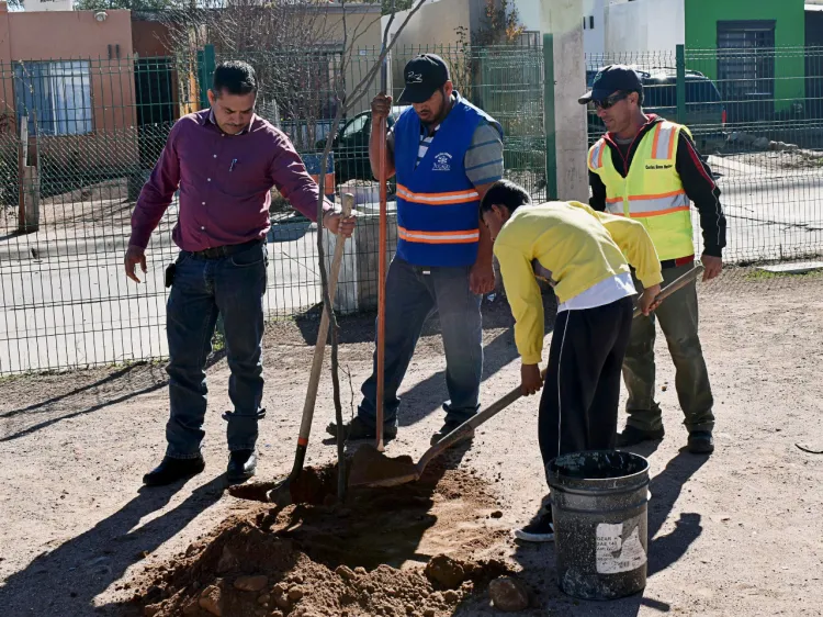 Realizan campaña de limpieza en La Mesa